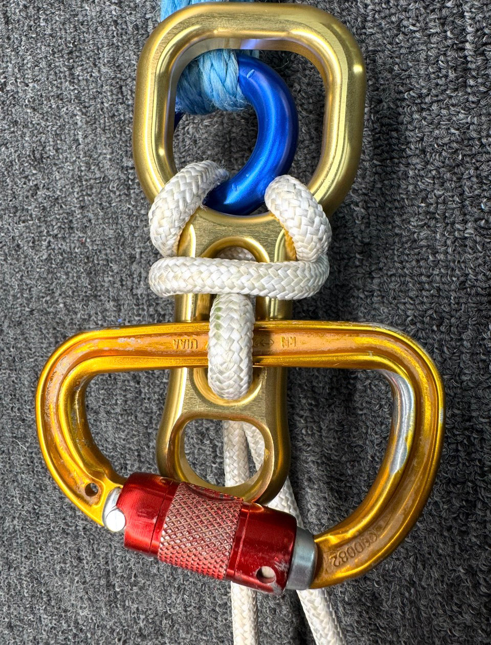 GLASR-8 image 2
