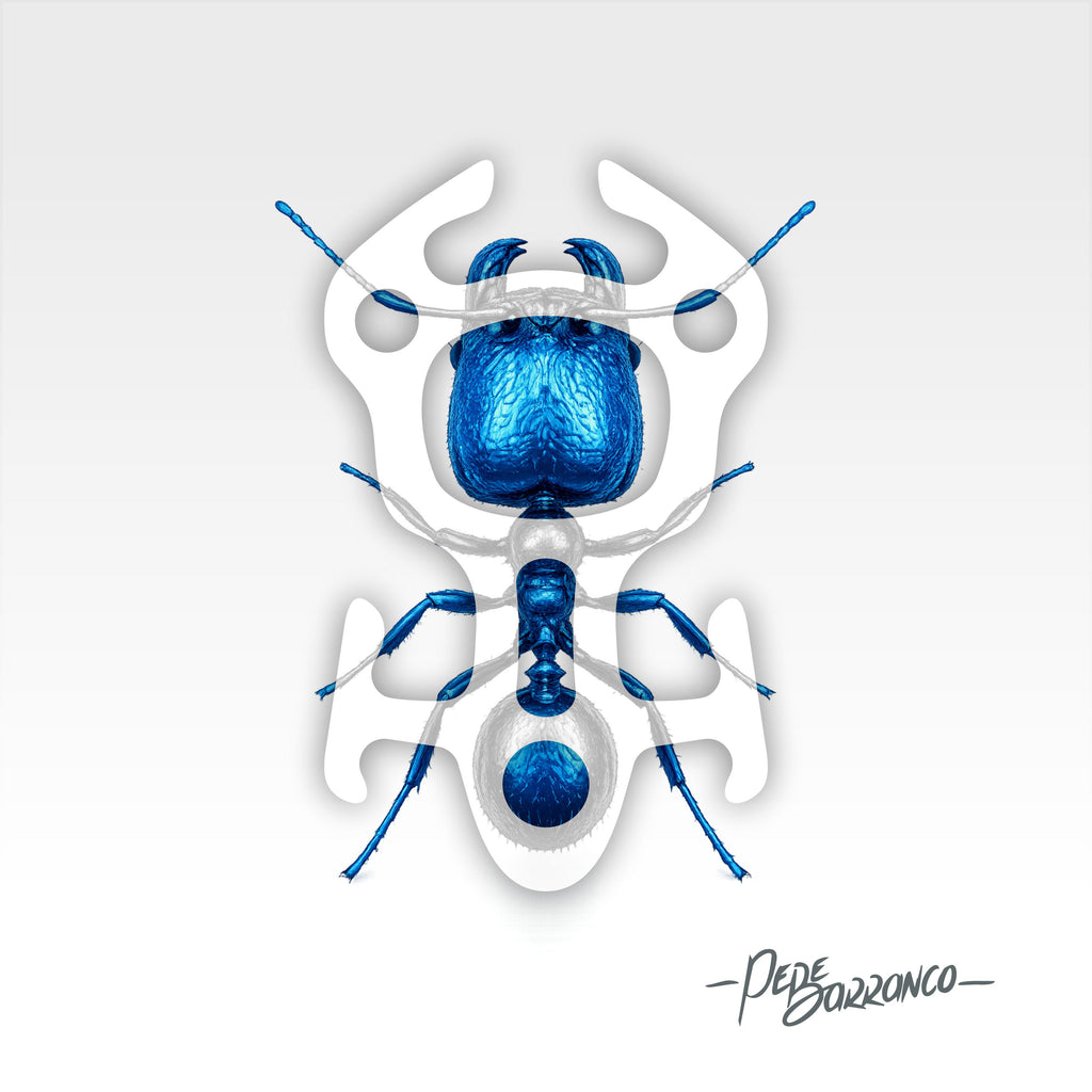 ASKA image 2