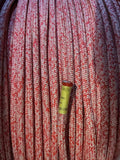 Cascade PoliWog image 0
